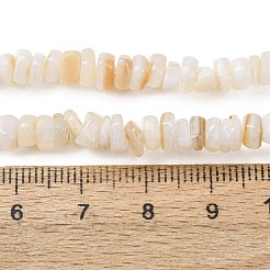 Natural Freshwater Shell Beads Strands&nbsp;SH-CBA2978-01