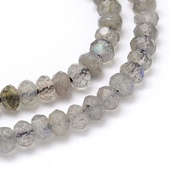 Natural Labradorite Rondelle Bead Strands&nbsp;G-O095-05-A