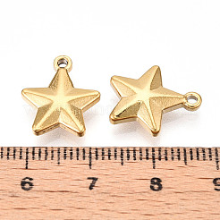304 Stainless Steel Charms&nbsp;STAS-N109-143G