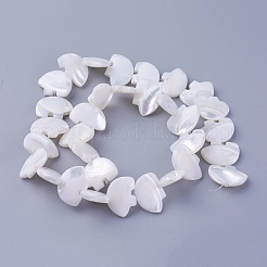 シェルビーズ連売り  動物  12.8~13x17.6~18x3.5~4mm  穴：0.5mm  約32個/連  15.55インチ（39.5cm）&nbsp;SSHEL-E571-26