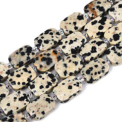 Natural Dalmatian Jasper Beads Strands&nbsp;G-T139-84