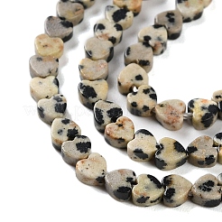 Natural Dalmatian Jasper Beads Strands&nbsp;G-M403-A31-01