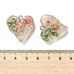 Inner Dried Flower Transparent Resin Pendants&nbsp;RESI-A043-03C