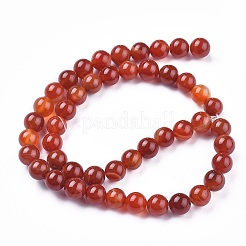 Natural Striped Agate/Banded Agate Beads Strands&nbsp;G-I261-C03-8mm
