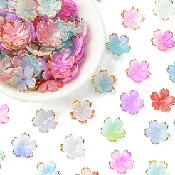 120 個 8 色のアクリルビーズキャップ  5  - 花びらの花  ミックスカラー  17.5x18x5mm  穴：1.2mm  15個/カラー&nbsp;OACR-FS0001-83