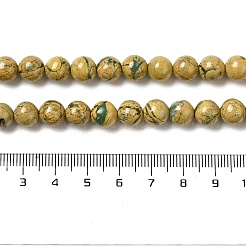 Natural Verdite Stone Beads Strands&nbsp;G-P515-A01-01