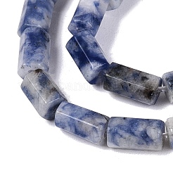 Natural Blue Spot Jasper Beads Strands&nbsp;GG-N002-01A-25