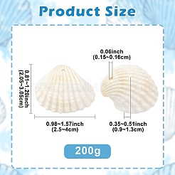 200G Natural Shell Pendants&nbsp;SSHEL-YW0001-14