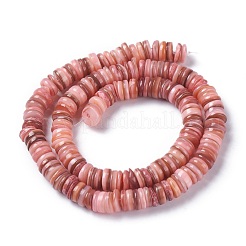 Natural Freshwater Shell Beads Strands&nbsp;BSHE-I016-04E