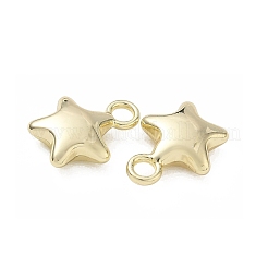 Alloy Pendants&nbsp;AL-CBA5609-10G-B