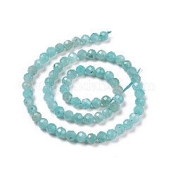 Natural Amazonite Beads Strands&nbsp;G-C009-A01