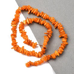 Natural Freshwater Shell Beads Strands&nbsp;BSHE-I016-01C