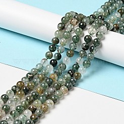 Natural Fuchsite Beads Strands&nbsp;G-K285-40B-1