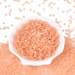 FGB Frosted Transparent Glass Seed Beads&nbsp;SEED-N013-02A-04