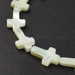 Natural Trochid Shell/Trochus Shell Beads Strands&nbsp;SSHEL-K027-04