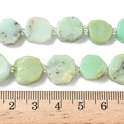 Natural Serpentine Beads Strands&nbsp;G-I394-D21