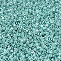 MIYUKI Delica Beads&nbsp;SEED-X0054-DB1576