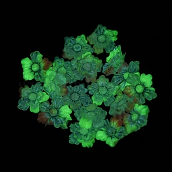Luminous Transparent Resin Decoden Cabochons&nbsp;LS-RESI-D013-06D