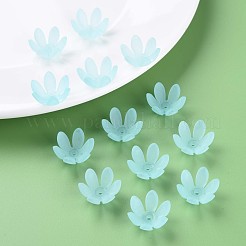 Transparent Acrylic Beads&nbsp;MACR-S373-47-D07