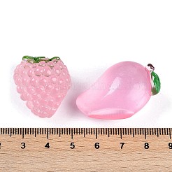 Opaque Resin Decoden Cabochons&nbsp;RESI-M050-06C