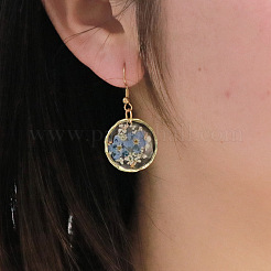 Alloy Epoxy Dried Flower Dangle Earrings&nbsp;FS-WGABF6D-07