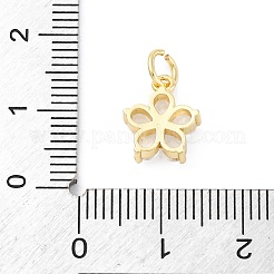 Brass Micro Pave Cubic Zirconia Charms&nbsp;KK-S510-13G