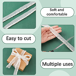 Polyester Ribbons&nbsp;OCOR-WH20002-45