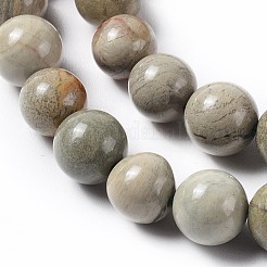 Natural Silver Leaf Jasper Beads Strands&nbsp;G-F627-13