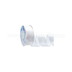 18M Iridescent Polyester Ribbon&nbsp;OCOR-WH0097-10A