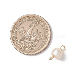 6Pcs 2 Colors Natural Freshwater Pearl Potato Connector Charms with 304 Stainless Steel Double Loops&nbsp;PALLOY-JF04947
