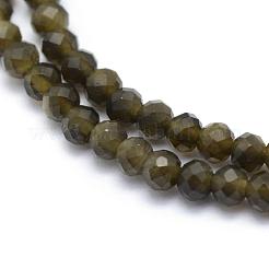 天然な金色の光沢のある黒曜石ビーズ 連  多面カット  ラウンド  2mm  穴：0.5mm  約113個/連  15.35インチ（39cm）&nbsp;G-E411-34-2mm