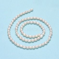 天然養殖淡水パールビーズ連売り  ライス  リネン  4~4.5x3~3.5mm  穴：0.5mm  約81~82個/連  14.57''（37センチメートル）&nbsp;PEAR-J006-07C