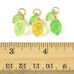レモンアクリルパーツ36色3個  304ステンレススチール製丸カン付き  ミックスカラー  22mm  穴：2.5mm  12個/カラー&nbsp;PALLOY-FS00059-02