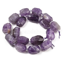 Natural Amethyst Beads Strands&nbsp;G-Z147-E02-01