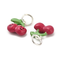 Alloy Enamel Charms&nbsp;ENAM-I080-02S-01