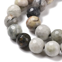 Natural Polychrome Jasper/Picasso Stone/Picasso Jasper Bead Strands&nbsp;G-E571-17A