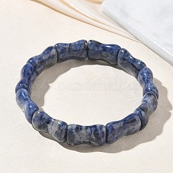 Bamboo Natural Sodalite Beads Stretch Bracelets for Women Men&nbsp;BJEW-K304-01E