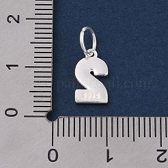 ナンバーシリーズ 925 スターリングシルバーチャーム  スタンプ925個と丸カン付き  銀色のメッキ  2  11x6.5x1.5mm  穴：3.5mm&nbsp;LS-STER-Q002-01C