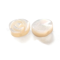 Natural White Shell Beads&nbsp;BSHE-Z008-04