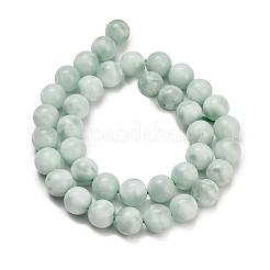 Glass Beads Strands&nbsp;G-L642-B18-10mm