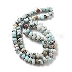 Natural Larimar Beads Strands&nbsp;G-Q024-E03-01