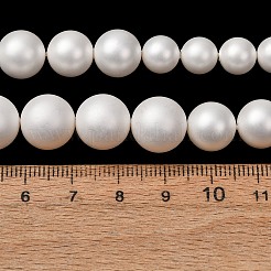 Electroplated Shell Pearl Graduated Beads Strands&nbsp;SH-CBA8E5B-02