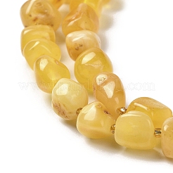 天然琥珀ビーズ連売り  ナゲット  シードビーズで  タンブルストーン  6~14x6~13x3~10.5mm  穴：0.6mm  約36~37個/連  14.96~15.16インチ（38~38.5cm）&nbsp;G-L095-F01-02