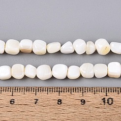 Natural Freshwater Shell Beads Strands&nbsp;BSHE-T014-51B