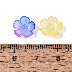 Transparent Plastic Bead Caps&nbsp;KY-Q005-02A-M02