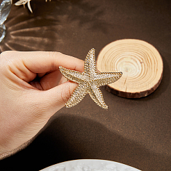 4Pcs Starfish Alloy Brooch&nbsp;JEWB-FH0002-85G