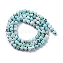 Natural HuBei Turquoise Beads Strands&nbsp;G-B130-A01-03