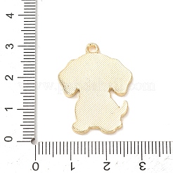 Alloy Enamel Pendants&nbsp;AL-CBA8C45-03
