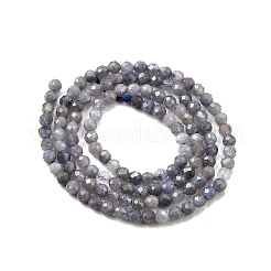 Natural Tanzanite Beads Strands&nbsp;G-S387-A01-3mm