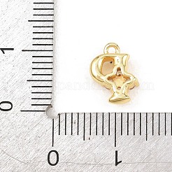 Brass Micro Pave Clear Cubic Zirconia Charms&nbsp;KK-Z151-18G-P